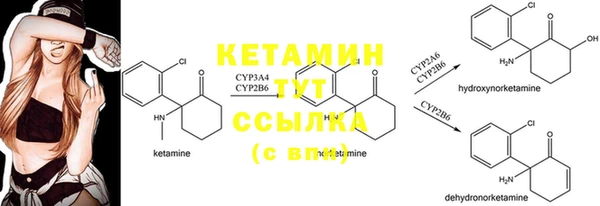 прущие крисы Арсеньев