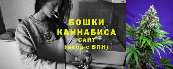 прущие крисы Арсеньев