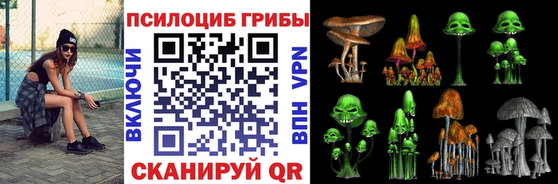 закладка Талдом mega ССЫЛКА Псилоцибиновые грибы прущие грибы